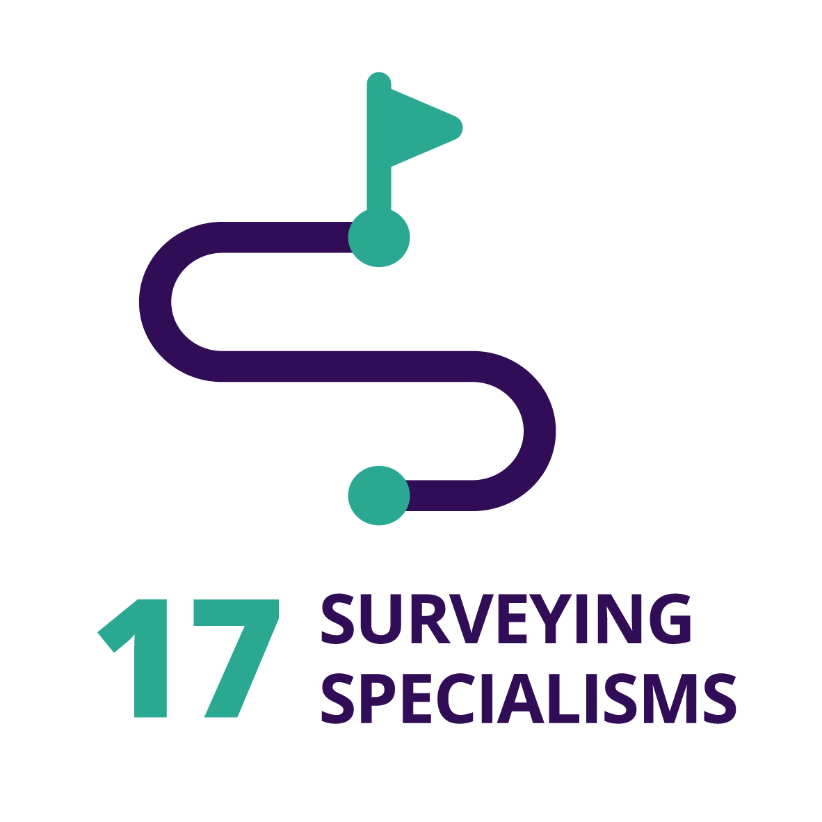 17 Surveying Specialisms